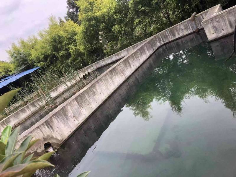 環境污染治理文本圖片 (2)