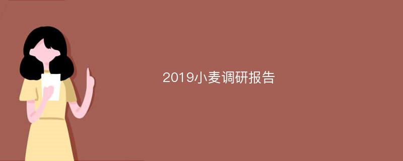2019小麦调研报告
