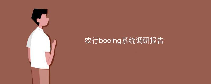 农行boeing系统调研报告